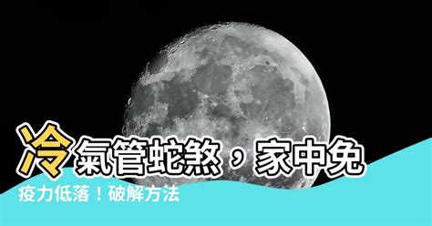 蛇煞化解方式